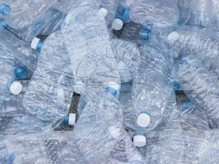 PET bottles with labels removed