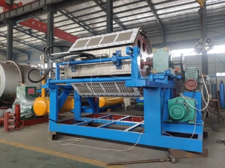 4x8 egg tray molding machine