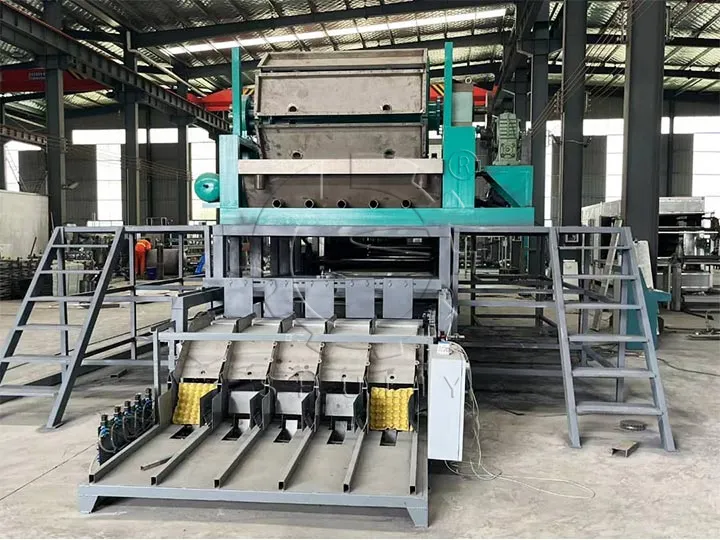 egg tray machine