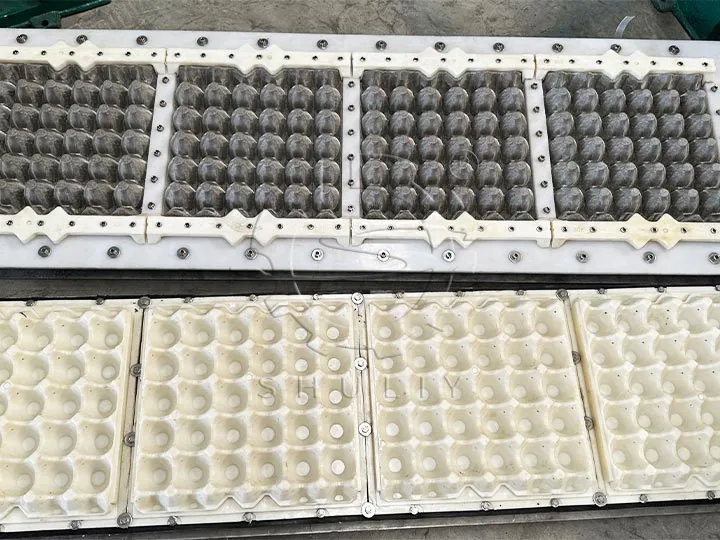 egg tray mold