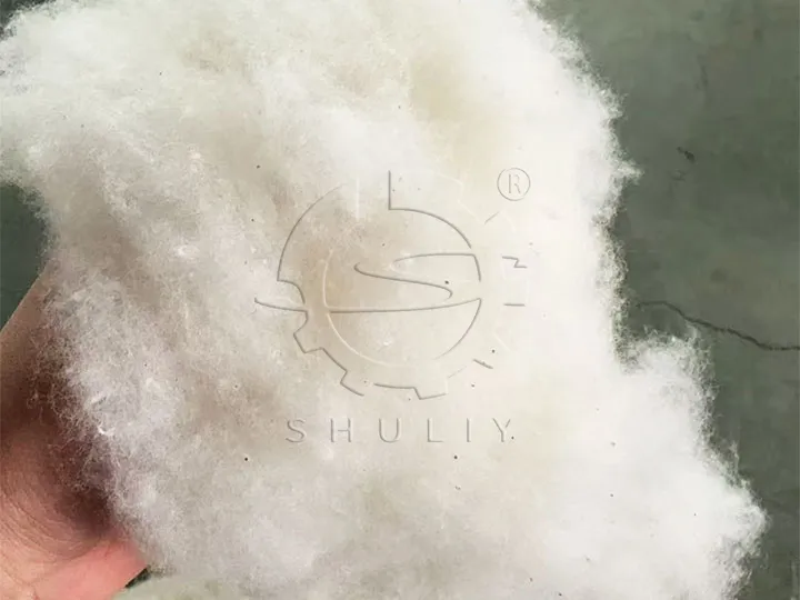 Cleaned Cotton