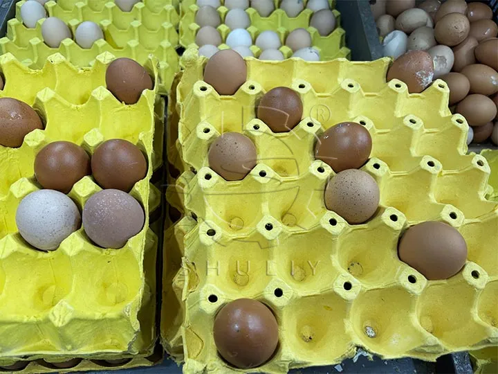 Eierkartons im Supermarkt