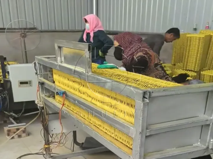 Eierkartonverpackung