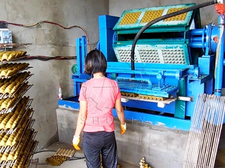 Egg Tray Manufacturing Business
