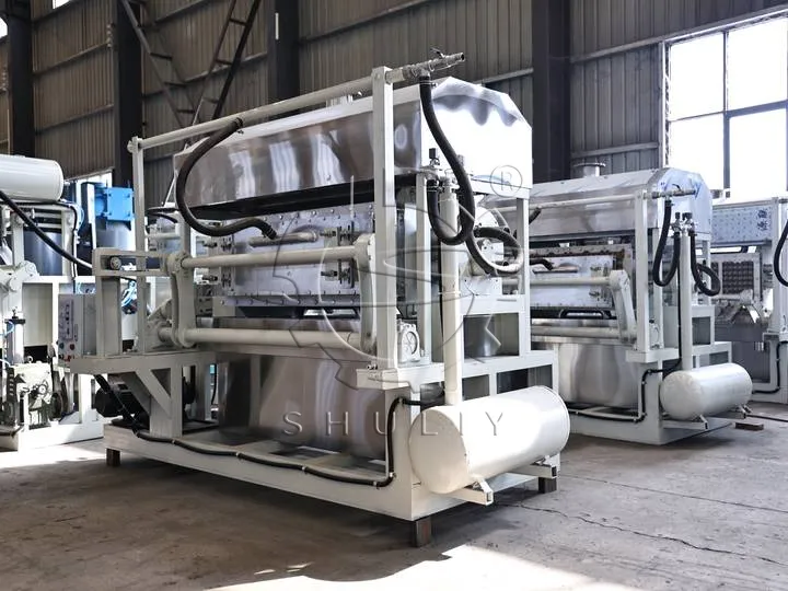 egg tray equipment