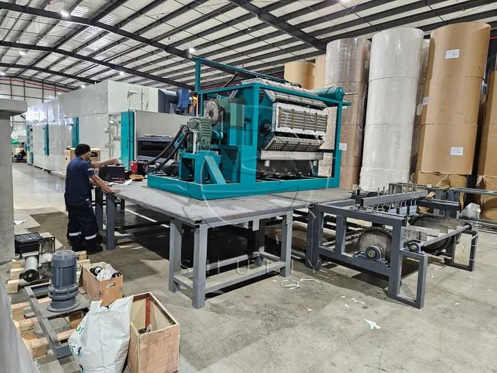 Large egg tray production line